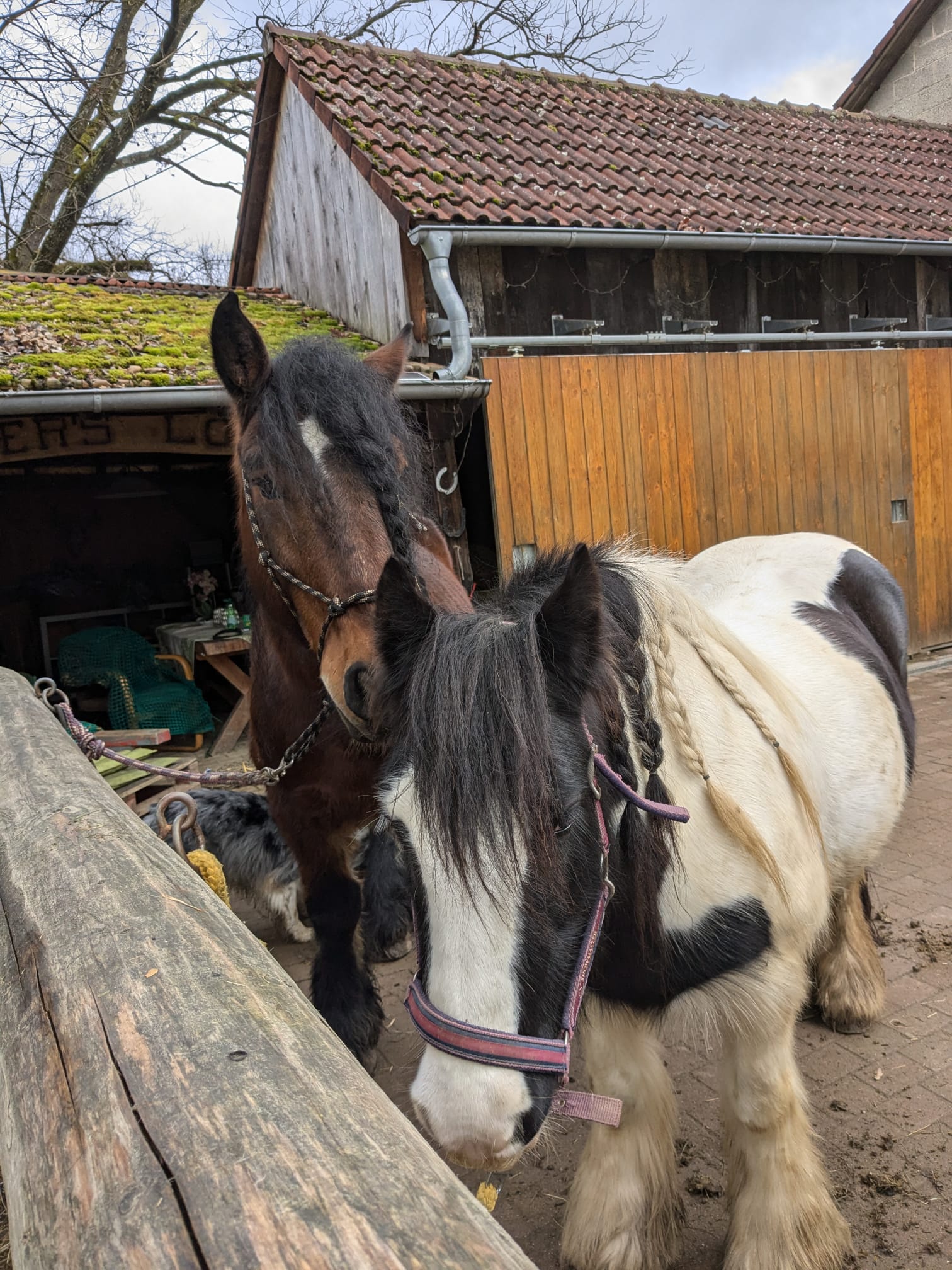 Lotti und Jamie