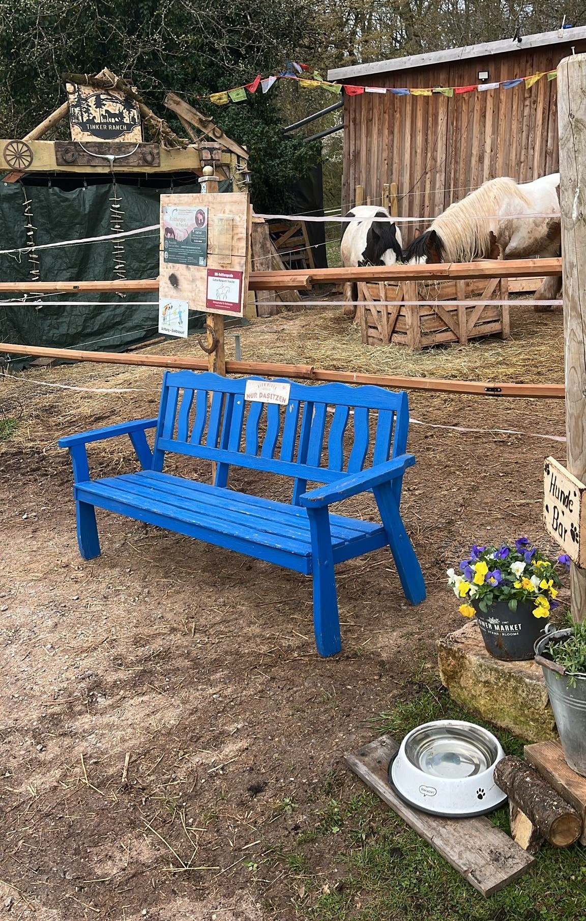 Tinker Ranch – Auszeit